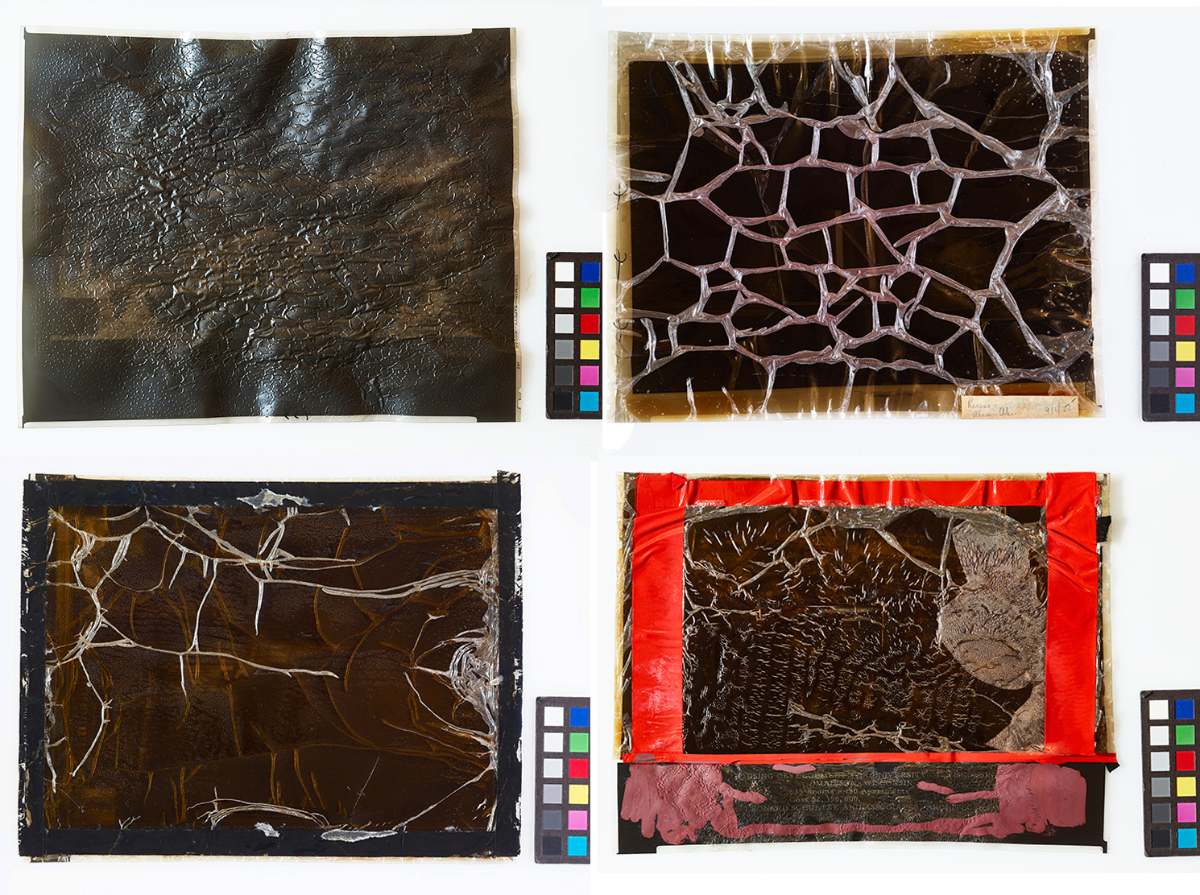 Examples of Schultze and Weaver negatives with levels 5 and 6 of cellulose acetate deterioration. Image courtesy of The Wolfsonian–FIU, Miami Beach, Florida