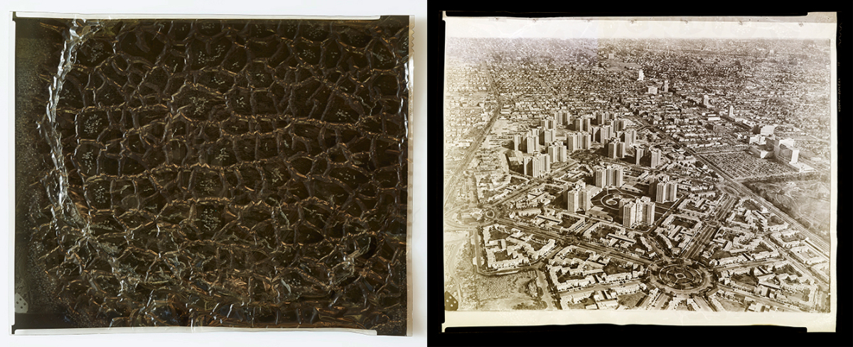 Aerial view of Park Labrea Housing Development, Los Angeles, CA. Left: condition of the negative with wrinkles. Right: digital positive. Image courtesy of The Wolfsonian–FIU, Miami Beach, Florida.