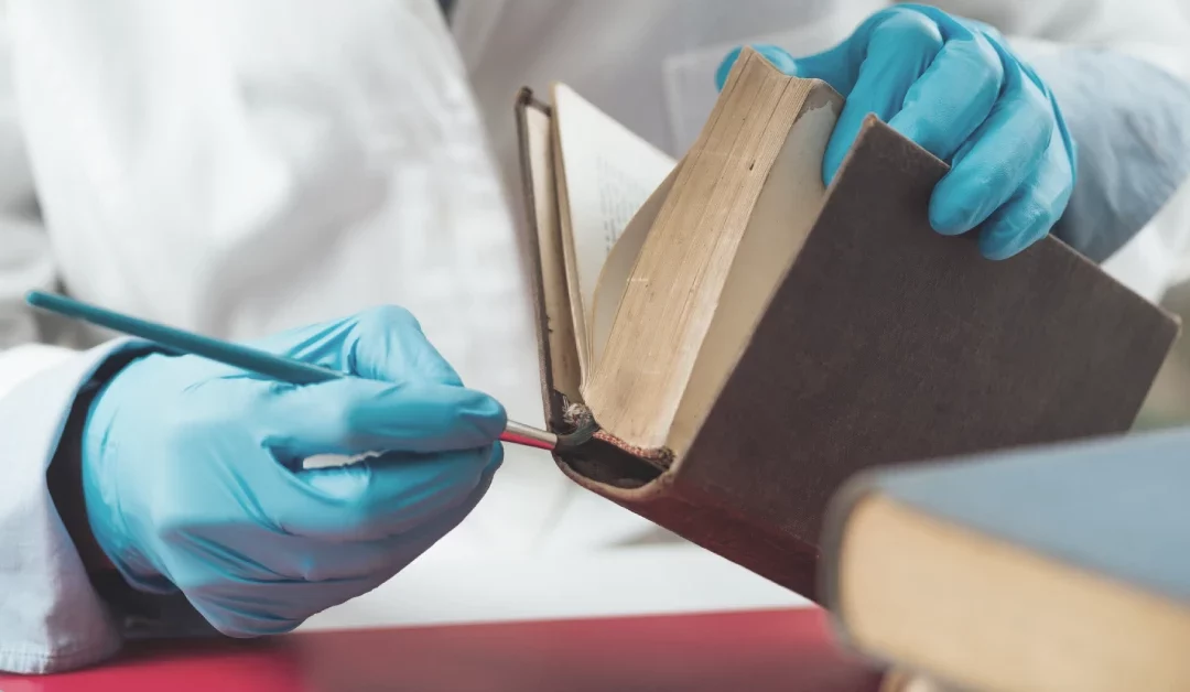 No Book Conservator At Work — 7 Resources To Guide You