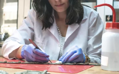 Museum Conservator Jobs – 8 Places To Find Heritage Roles