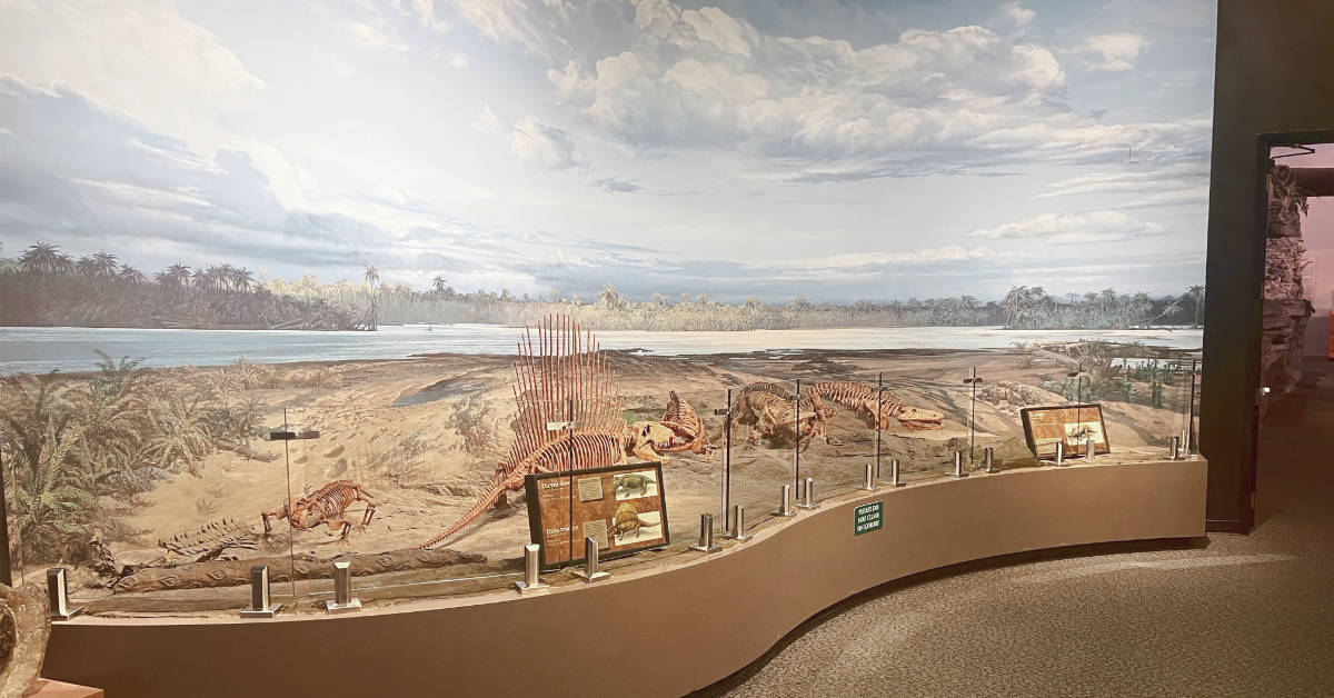 Diorama of a Permian landscape with blue skies and clouds. In the foreground, three skeleton replicas and labels for visitors. The whole diorama is on a brown platform plinth at seating level height. There is a protective barrier of small, rectangular glass panes in front.