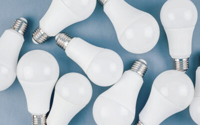 Best Museum Light Bulbs To Support Preventive Conservation