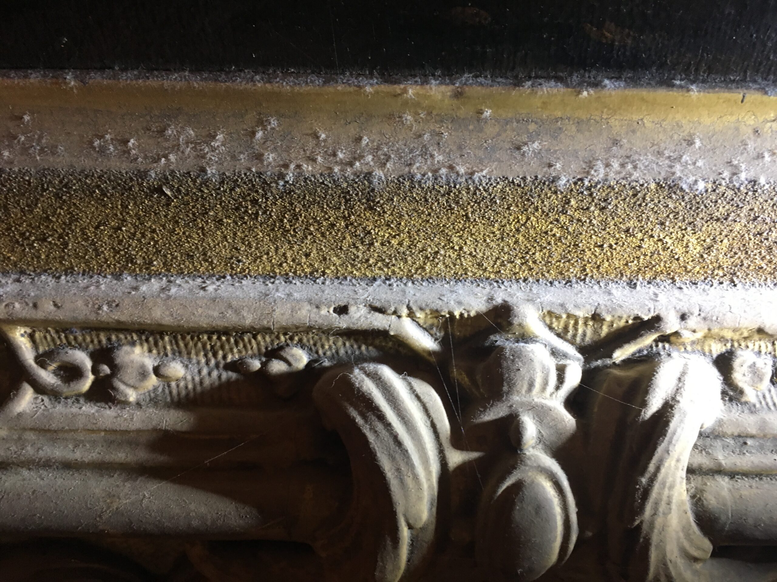 Heavy mold and dust growth on the ornate gilded frame of a painting, with white fungal colonies visible across the decorative surface