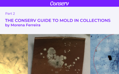 Part II of “A Conserv Guide to Mold in Collections”