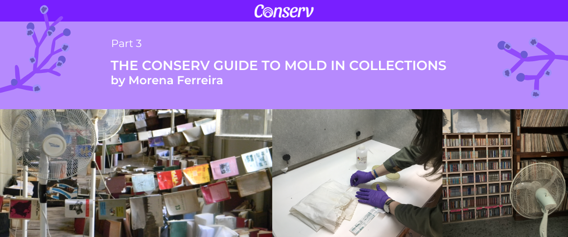 Newsletter banners – 1160x484px (1)
