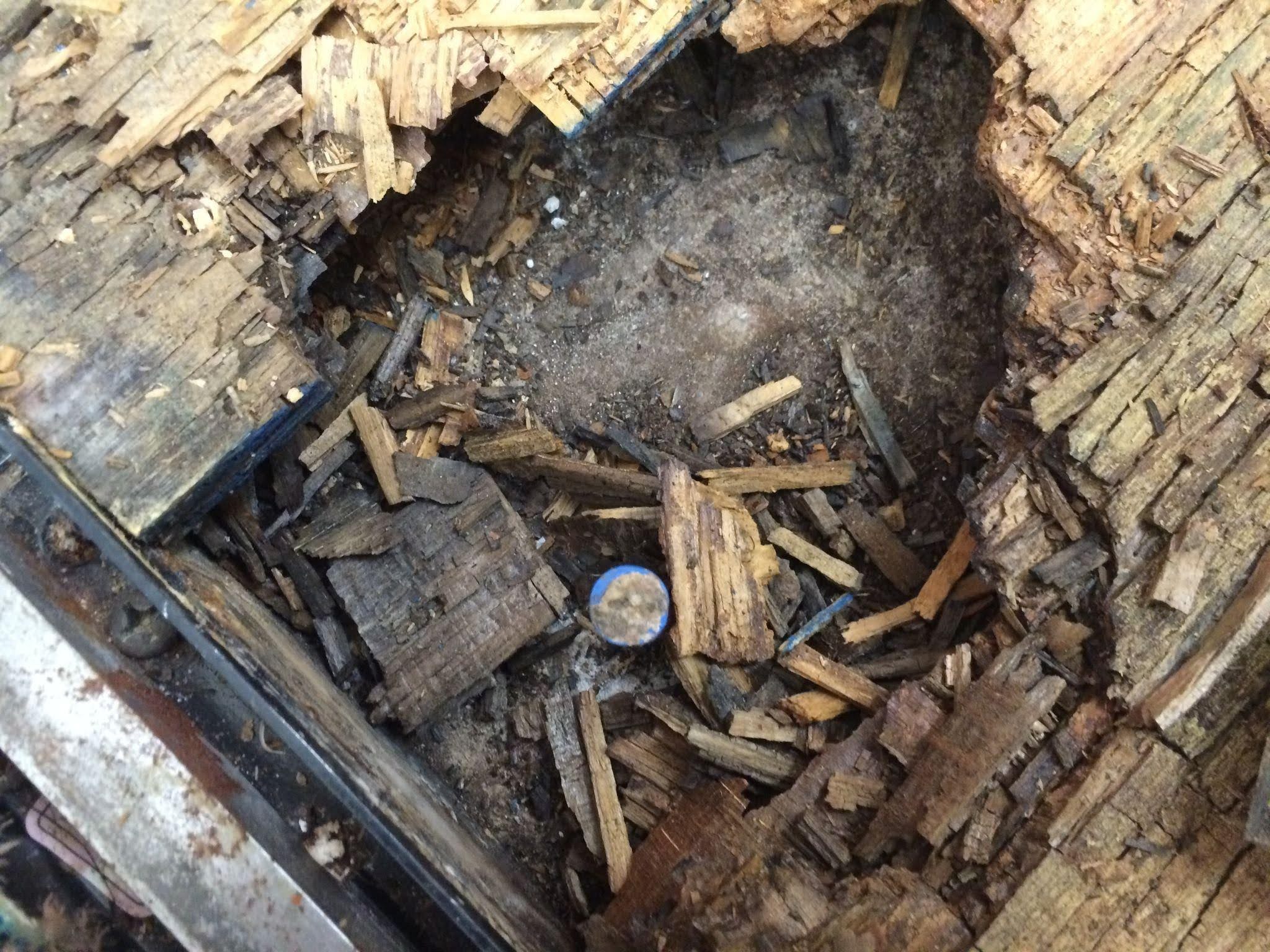 Dry-rotted plywood subfloor in the ECU Special Collections storage area, damaged by a long-running wall leak